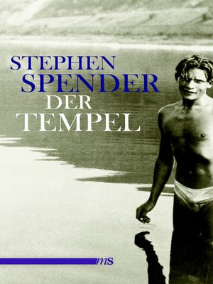 cover image of Der Tempel